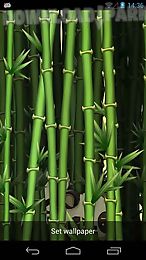 bamboo garden live wallpaper