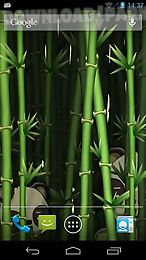 bamboo garden live wallpaper