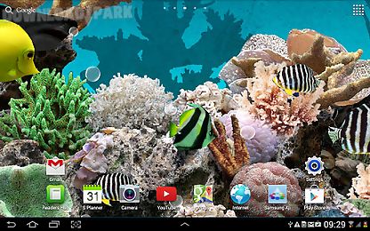 3d aquarium live wallpaper