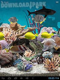 3d aquarium live wallpaper