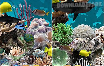 3d aquarium live wallpaper