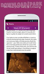 pregnancy app expect 7m
