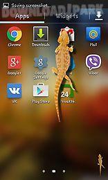 lizard in phone