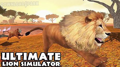 ultimate lion simulator