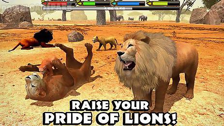 ultimate lion simulator