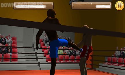wrestling fight 3d