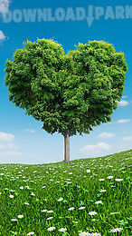 love tree live wallpaper