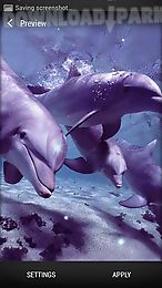 dolphin