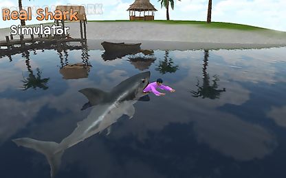 real shark simulator 3d