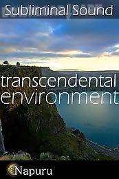 transcendental environment