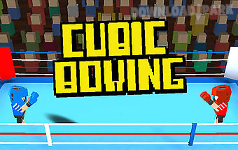 Cubic boxing 3d