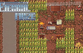 Eternal maze: puzzle adventure