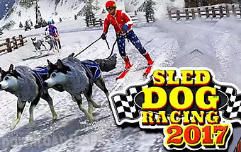 Sled dog racing 2017
