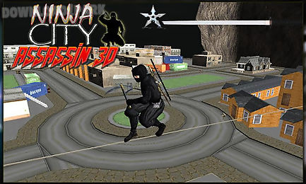 city ninja assassin warrior 3d