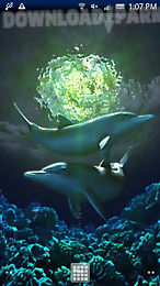 dolphin moonlight trial