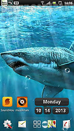 sharks live wallpapers