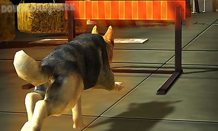 dog simulator 3d