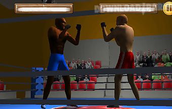 Box fighters 3d