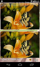 eyespy butterfly difference game