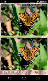 eyespy butterfly difference game