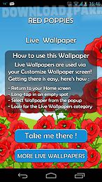 red poppies 3d live wallpaper