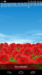 red poppies 3d live wallpaper