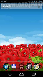 red poppies 3d live wallpaper