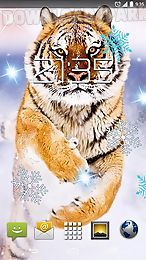 snow tiger