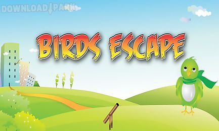 birds escape