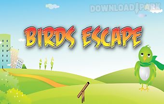 Birds escape