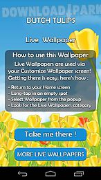 dutch tulips 3d live wallpaper