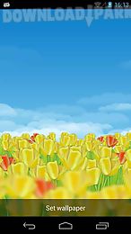 dutch tulips 3d live wallpaper