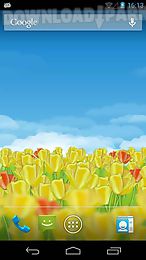 dutch tulips 3d live wallpaper