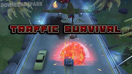traffic survival