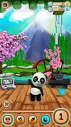 daily panda: virtual pet