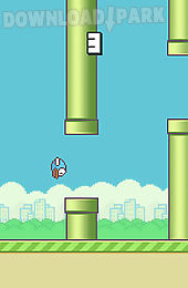 flappy bird