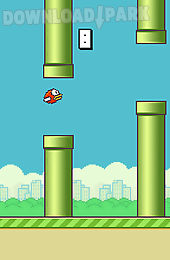 flappy bird