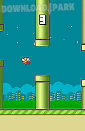 flappy bird