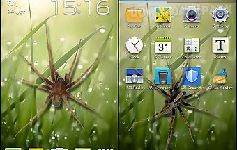 Spider in phone