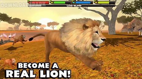 ultimate lion simulator complete set