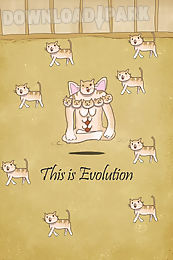 cat evolution party