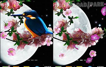 Sakura and bird