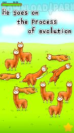 alpaca evolution