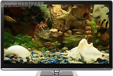 fish tank on tv via chromecast next
