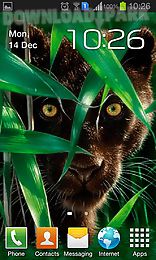 forest panther