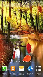 autumn forest