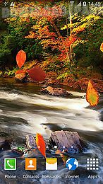 autumn forest