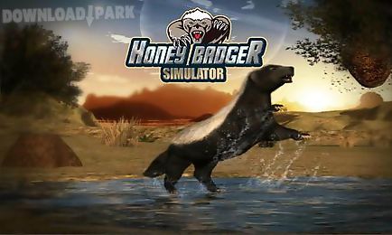 honey badger simulator