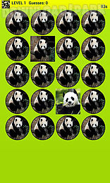 panda bear memory game