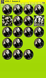 panda bear memory game